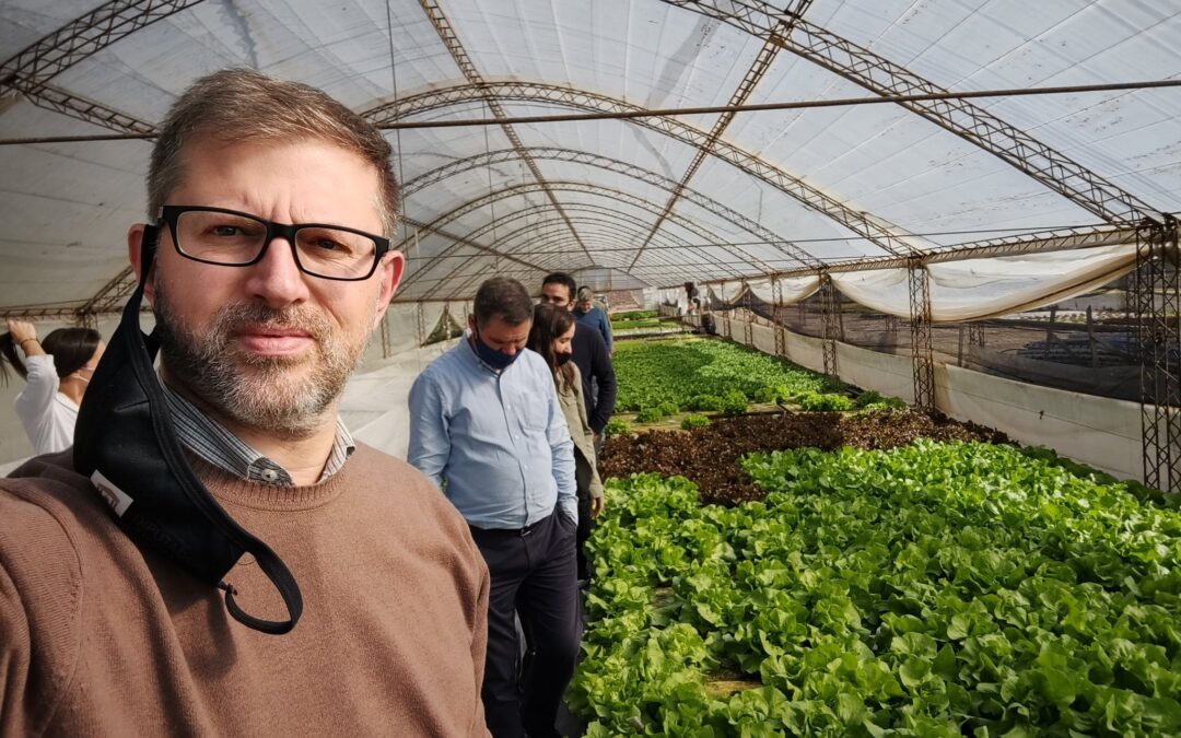 Hidroponia: una forma distinta de producir alimentos que ya funciona en Mendoza