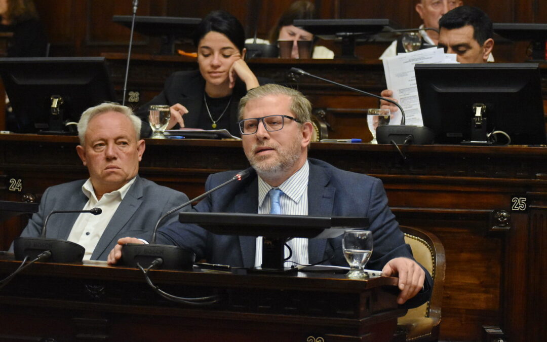 RIGI: una oportunidad para que Mendoza atraiga inversiones y genere desarrollo